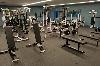 MUSCULATION